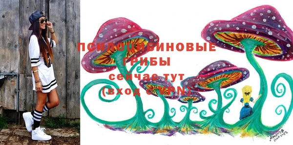 молекула духа Богданович