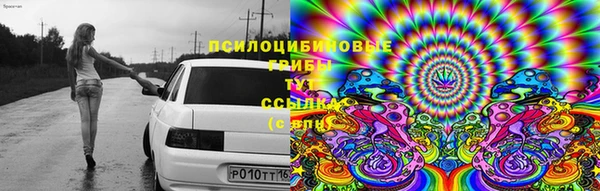 дмт Сафоново